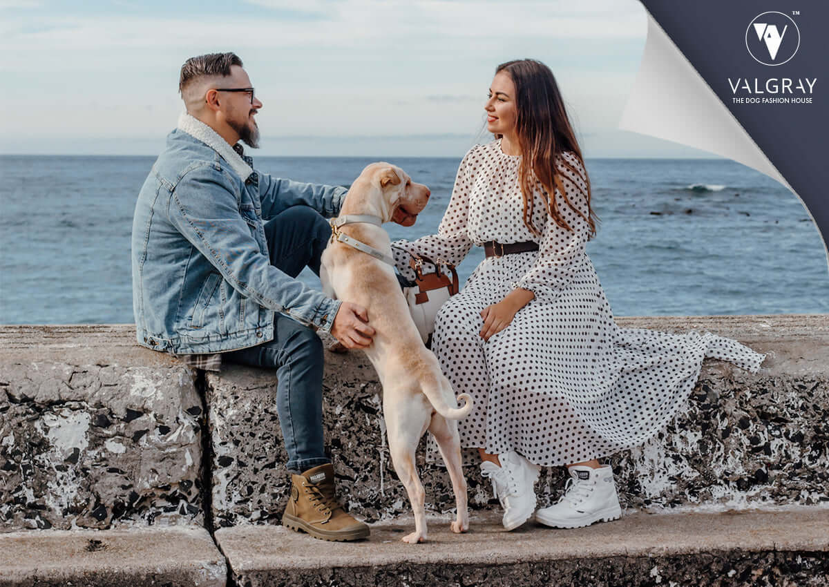 Valgray premium dog accessories Valgray, This Is Us! image of Marco and Rhodé & Juno, of Valgray luxury dog collars and leashes in South African. Image shows a man and a woman in a luxury lifestyle image in Cape Town, Southern Africa.