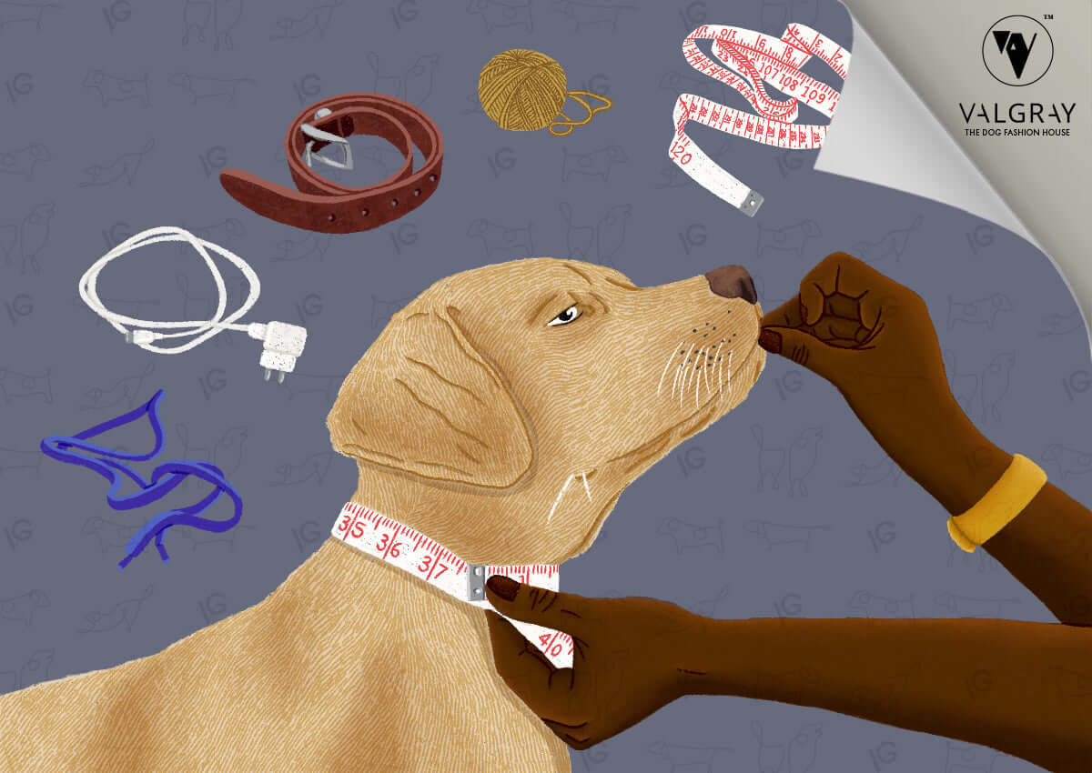 Valgray for Dogs premium dog accessory Blog Post Image For How to Measure Your Dog's Neck Using Everyday Household Items Blog post. Image shows a person measuring a dog's neck with household items.