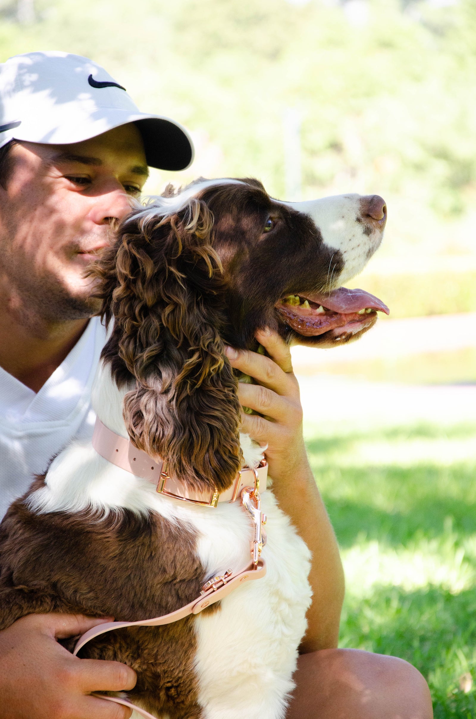 Spaniel with owner in park wearing a Valgray rose gold collar and leash set