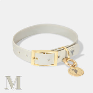 Bone grey & yellow gold waterproof medium dog collar and personalised name tags.