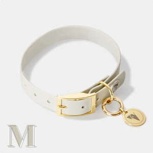 Bone grey & yellow gold premium medium dog collar and personalised name tags.