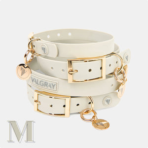 Bone grey & yellow gold waterproof premium medium dog collars and personalised name tags.