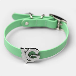 Valgray Premium Dog Collar for Small Dogs - Pistachio & Silver Collar