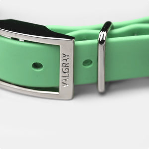 Valgray Premium Pistachio Dog Collar - Close Up Silver Colour Plated Hardware