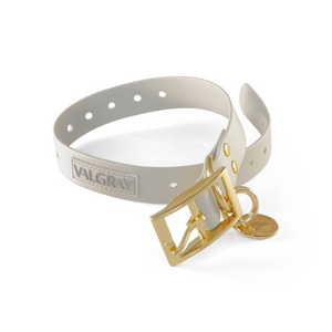 Bone grey & yellow gold premium waterproof extra large dog collar and personalised tags.