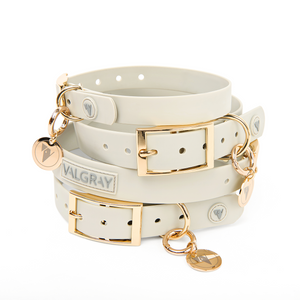 Bone grey & yellow gold premium extra large dog collars and personalised tags.