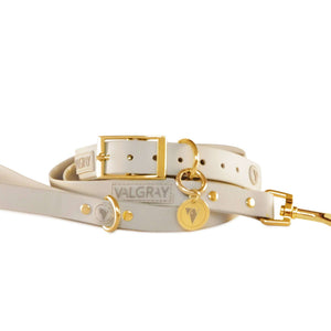Extra large/xl bone grey & yellow gold waterproof dog collar and leash set.