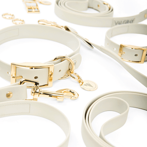 Extra large bone grey & yellow gold dog collar and leash set.