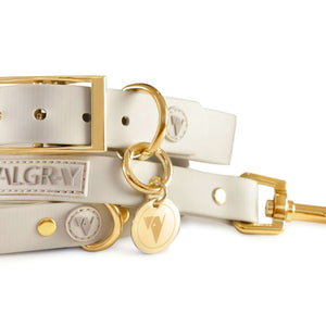 Extra large bone grey & yellow gold dog collar and leash set.