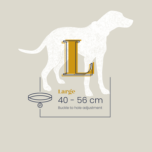 Sizing guide & sizing chart for large bone grey & yellow gold dog collar with personalised tags.