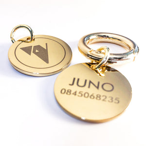 Premium personalised engraved dog tags on largebone grey & yellow gold collar.