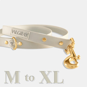 Gold-plated bone grey & yellow gold waterproof medium to large dog leash.
