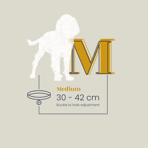 Sizing guide & sizing chart for medium bone grey & yellow gold collar and leash sets.