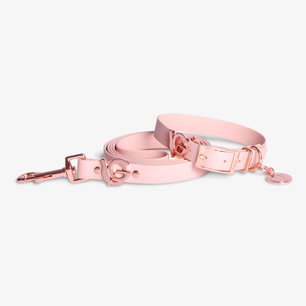Valgray Premium Blush and Rose Gold Dog Collar and Leash