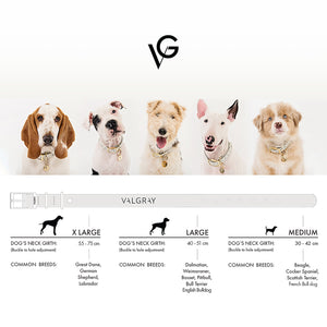 Sizing guide & sizing chart for extra large/xl bone grey & yellow gold dog collar with tags.