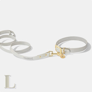 Large bone grey & yellow gold waterproof dog collar and leash set.