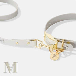 Medium bone grey & yellow dog collar and leash set.