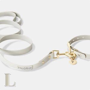 Bone grey & yellow gold large premium dog collar and leash set.
