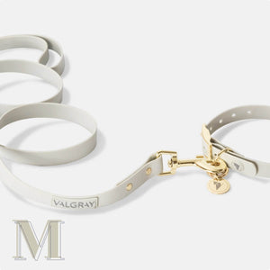 Medium bone grey & yellow gold premium waterproof dog collar and leash set.
