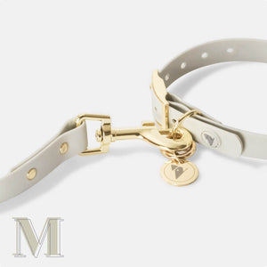 Medium bone grey & yellow gold waterproof dog collar and leash set.
