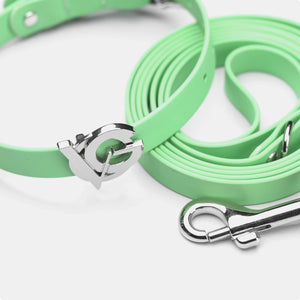 Pistachio | Silver | S